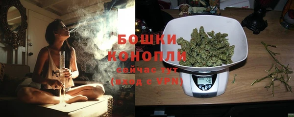 Альфа ПВП Гусь-Хрустальный