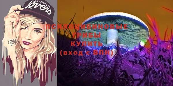 2c-b Гусиноозёрск
