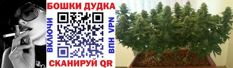 Купить закладки  Кола  Бошки марихуана сатива 